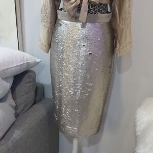 Banana Republic Silver Sequin Pencil Skirt